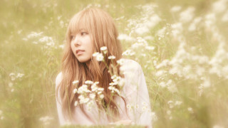 Woman longhair flowerfield serious aesthetic - a field of flowers free wallpaper for desktop