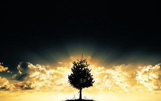 Lone tree hill sunset clouds - amazing free wallpaper