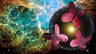 Butterfly cosmic star cluster aurora - amanda sage free wallpaper