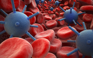 Blood cells vein 3d illustration - plasma free wallpaper