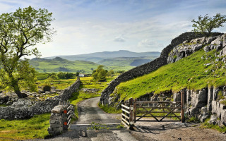Stone wall road gate grassy - a stone wall free wallpaper