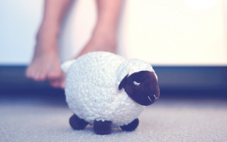 Small stuffed sheep tilt shift - the floor next free wallpaper