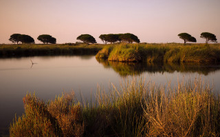 Marshy landscape bird sunset nature - carpoforo tencalla free wallpaper for desktop