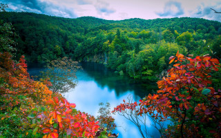 Hudson river autumn leaves forest - tree and a forest free wallpaper