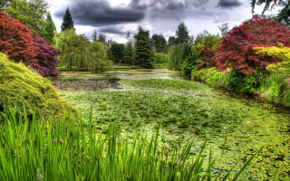 Pond green flowers trees clouds - a pond free wallpaper
