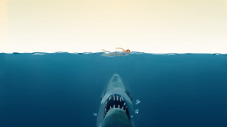 Shark boat swimmer beach gradient - a shark free wallpaper