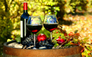 Wine glasses fruit outdoor stilllife - leaf and trees free wallpaper