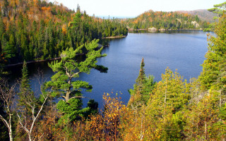 Lake forest autumn leaves nature - a few leaf free wallpaper