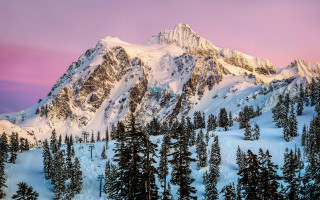 Snowy mountain trees pink sky 3 - a pink sky free wallpaper for desktop