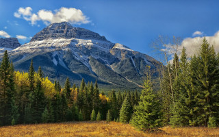 Mountain snow capped peak trees - peak in the distance free wallpaper