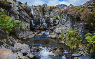 Small waterfall rocky area trees - a small waterfall free wallpaper