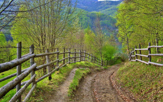 Dirt path wooden fence forest - alen divi free wallpaper
