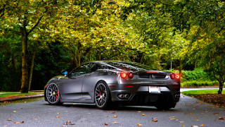 Car forest street matte nature - matte finish free wallpaper