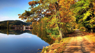 Lake bridge autumn fall leaves - a bridge in the distance free wallpaper