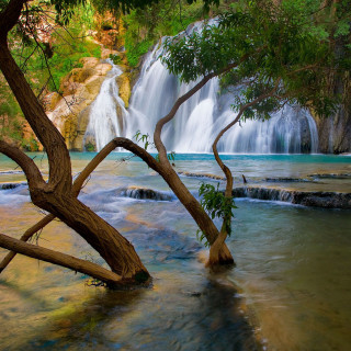 Waterfall tree river foreground nature - free spring wallpaper for tablet
