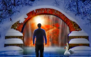 Waterfall swan clock forest architecture - a waterfall free wallpaper