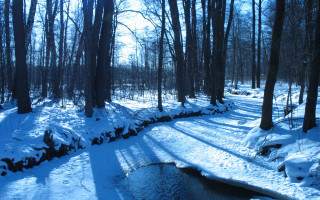 Hudson river school winter forest - a stream free wallpaper