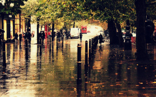 City street rain autumn architecture - the street free wallpaper