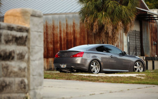 Car road palm trees fence - clean line free wallpaper