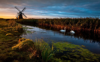 Swans pond windmill sunset clouds 2 - a dark sky in the background free wallpaper for desktop