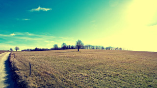 Dirt road field fence trees - ultra wide angle free wallpaper