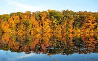 Autumn lake trees leaves clouds - hudson river school free wallpaper