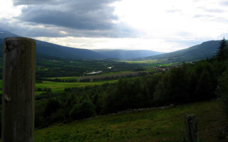 Valley mountains trees cloudy sky - landscape free wallpaper