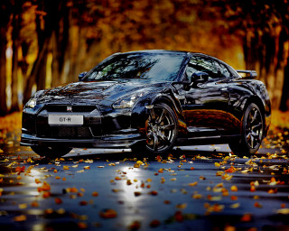 Black sports car autumn leaves 4 - a few leaf free wallpaper