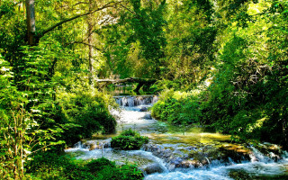 Lush forest stream bridge nature - a bridge in the distance free wallpaper