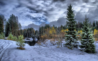 Snowy landscape trees river cloudy - a cloudy sky above free wallpaper
