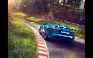 Blue sports car woods trees - the background and grass free wallpaper