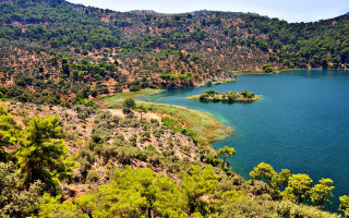 Lake trees mountains blue sky 13 - tree and mountains free wallpaper for desktop