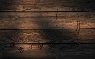 Wooden wall woman face flower - a wooden wall free wallpaper