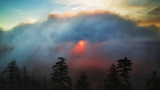 Sunset forest clouds mountains mist - a cloud free wallpaper