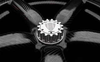 Fan lion emblem cobra rendering - surface free wallpaper for desktop