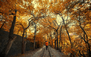 Person walking traintrack autumn forest - bian jingzhao free wallpaper