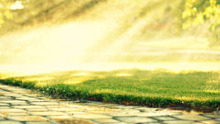 Fire hydrant water spray park - a fire hydrant free wallpaper