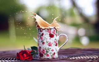 Coffee splash rose flower petals - whimsical free wallpaper