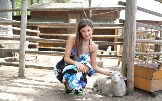 Woman sheep pen fence building - a sheep free wallpaper