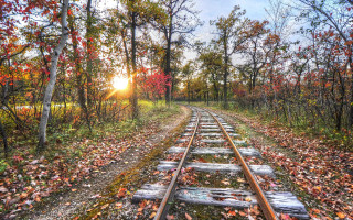 Autumn forest train track falling - red leaf free wallpaper