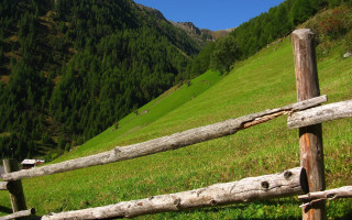 Wooden fence grassy field mountains - depth of field free wallpaper