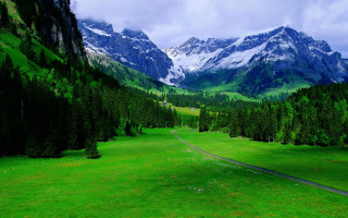 Green field road mountains snow - the top free wallpaper