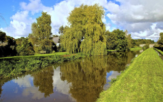 River grassy bank trees cloudy - eugeen van mieghem free wallpaper