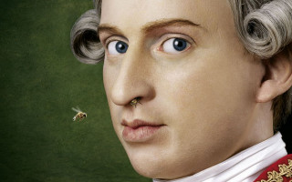 Man nose ring bee portrait - his nose free wallpaper