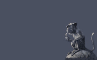 Monkey rock blue sky naturalism - diego gisbert llorens free wallpaper