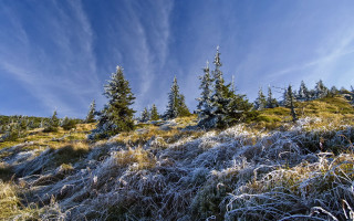 Frosted forest bicycle sky mountains - a blue sky above free wallpaper for desktop
