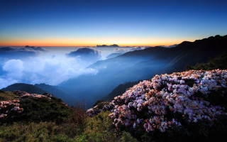 Mountain flower sky clouds lake - cloud and mountains free wallpaper