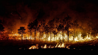 Forest fire night sky autumn - fire free wallpaper