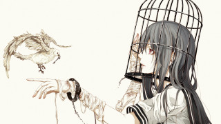 Girl bird cage anime gothic - chiharu shiota free wallpaper