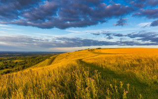 Grassy hill path clouds flowers - a grassy hill free wallpaper
